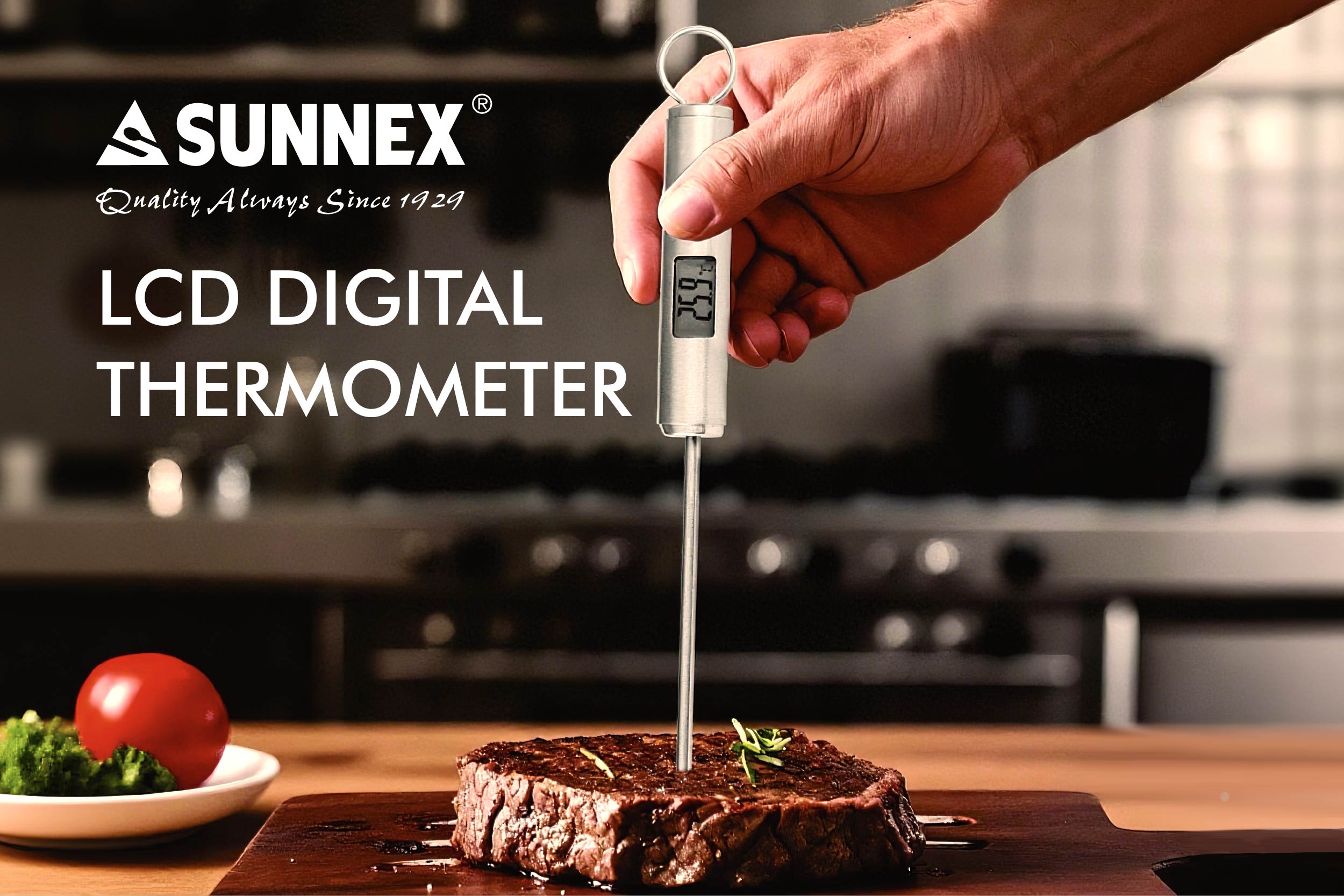 SUNNEX NY DIGITAL TERMOMETER FÖR FLERA FUNKTIONER